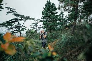 BIB: 
                            <button type="button" onclick="openModal(25260382)" class="btn btn-primary btn-sm float-right btn-popup" data-toggle="modal" data-target=".modal-high-quality">
                        <i class="fas fa-shopping-cart"></i> Add to Cart
                    </button>
                                            <button type="button" onclick="isThisMe(25260382, true)" class="btn btn-success btn-sm float-right btn-popup btn-isme hidden" data-toggle="tooltip" data-placement="bottom" title="นี่คือรูปของคุณใช่ไหม คลิกที่นี่เพื่อเอาเข้าอัลบั้ม">
                        <i class="fas fa-plus"></i> Add to album
                    </button>
                    <button type="button" onclick="isThisMe(25260382, false)" class="btn btn-warning btn-sm float-right btn-popup btn-isnotme hidden">
                        <i class="fas fa-ban"></i> Remove from album
                    </button>